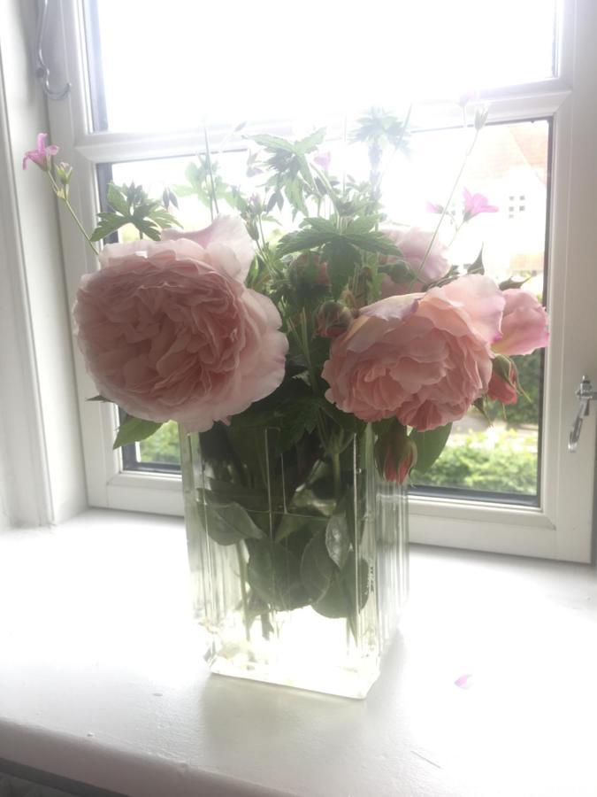 Bnb Thuroe Svendborg Zewnętrze zdjęcie